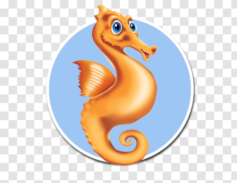 Seahorse Houston Swim Club Learning Swimming Lessons Transparent PNG