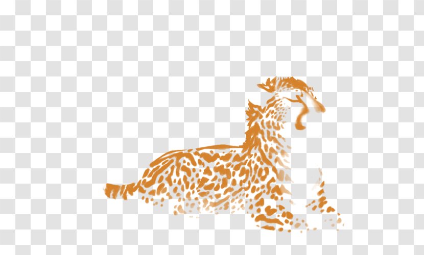 Felidae Giraffe Cheetah Cat Lion - Tail Transparent PNG