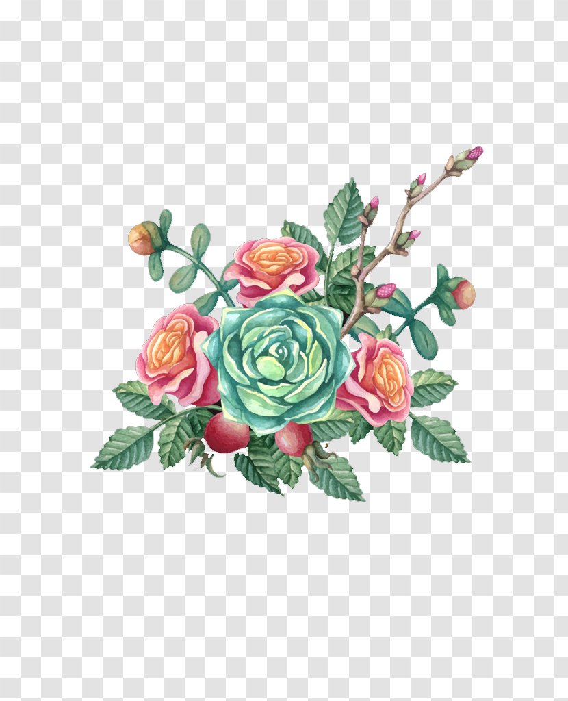 Euclidean Vector Flower Corsage Painting - Rose Family - Color Peony Transparent PNG
