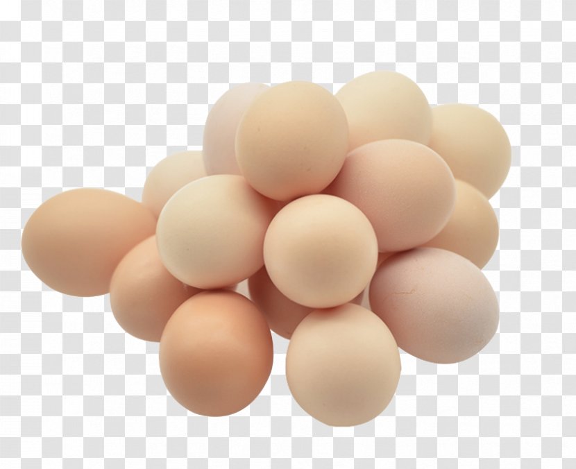 Chicken Egg White - Poultry - Material Transparent PNG