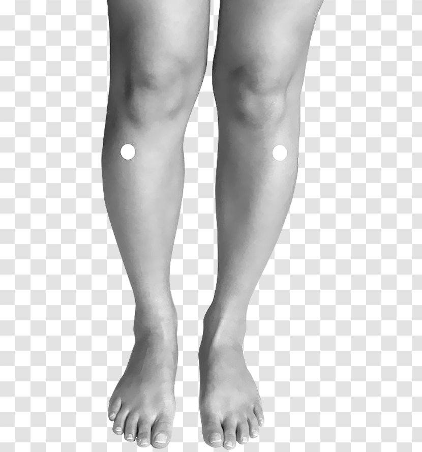 Abdomen Acupuncture Toe Human Body Shiatsu - Frame - Acupanture Meridians Gall Bllader Transparent PNG