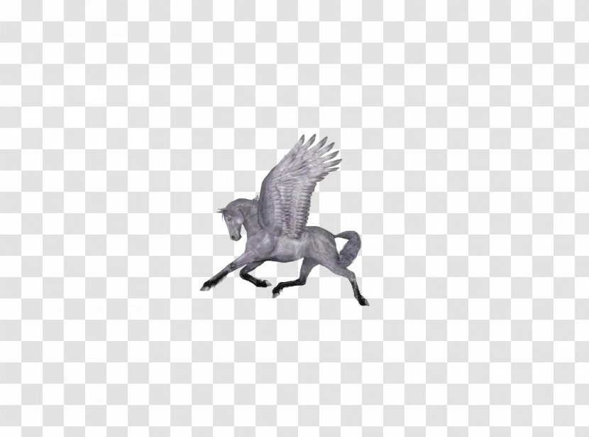 Horse Euclidean Vector - Bird - Pegasus Transparent PNG