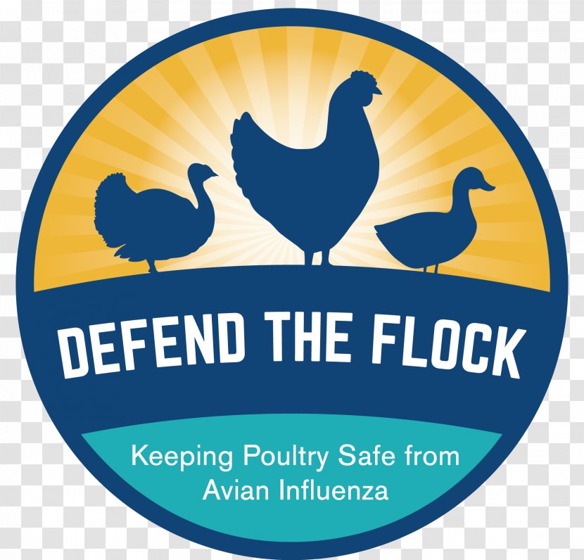 Avian Influenza Chicken Disease United States Department Of Agriculture Health - Virus - Flock Transparent PNG
