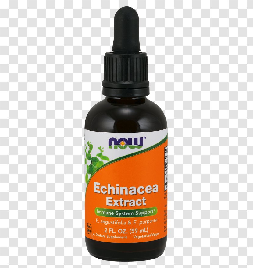 Vitamin B-12 Liquid Now Foods Ultra Drop Extract - Olive Leaf 500 Mg - Tea Shop Brochure Transparent PNG