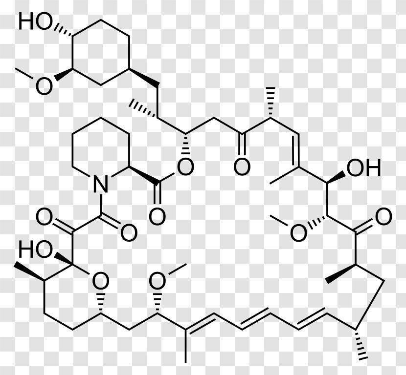 Sirolimus MTOR Inhibitors Small Molecule - Diagram - Drugeluting Stent Transparent PNG