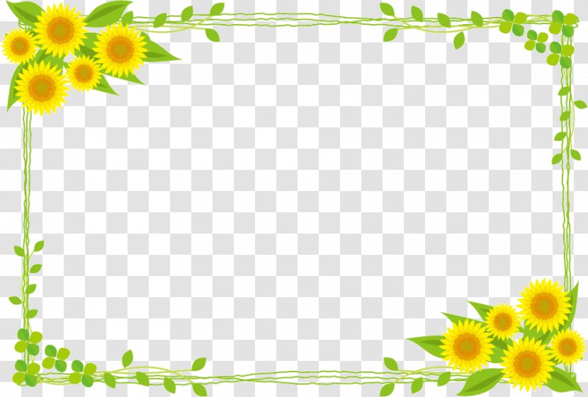 Common Sunflower Public Domain Illustration - Flower Arranging - Border Transparent PNG