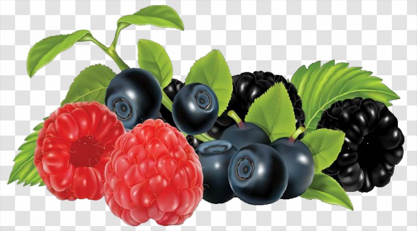 Frutti Di Bosco Blackberry Fruit Clip Art - Plant - Blueberry Transparent PNG