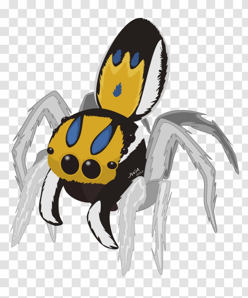 Peacock Spider Jumping Clip Art Image - Yellow Transparent PNG