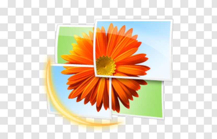 Windows Photo Gallery Image Viewer Live - Microsoft Transparent PNG