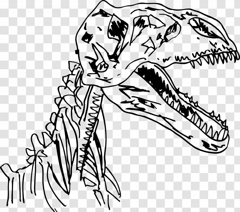 Velociraptor Dinosaur Fossils Clip Art - Mammal Transparent PNG