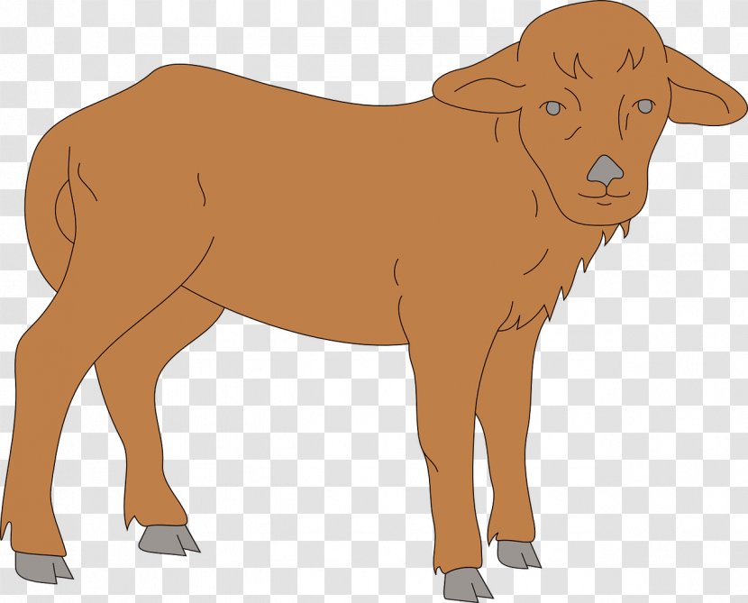 Calf Cattle Clip Art - Mammal - Brown Goat Cub Transparent PNG