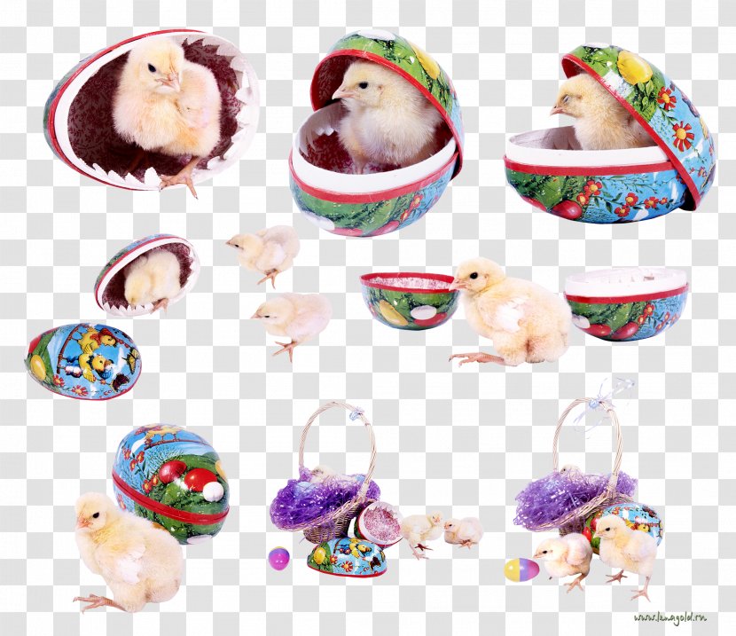 Easter Egg Bunny Clip Art - Image File Formats - Design Transparent PNG