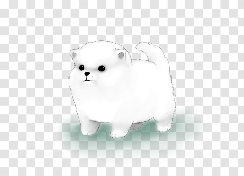 Puppy Whiskers Pomeranian Dog Breed Companion Transparent PNG