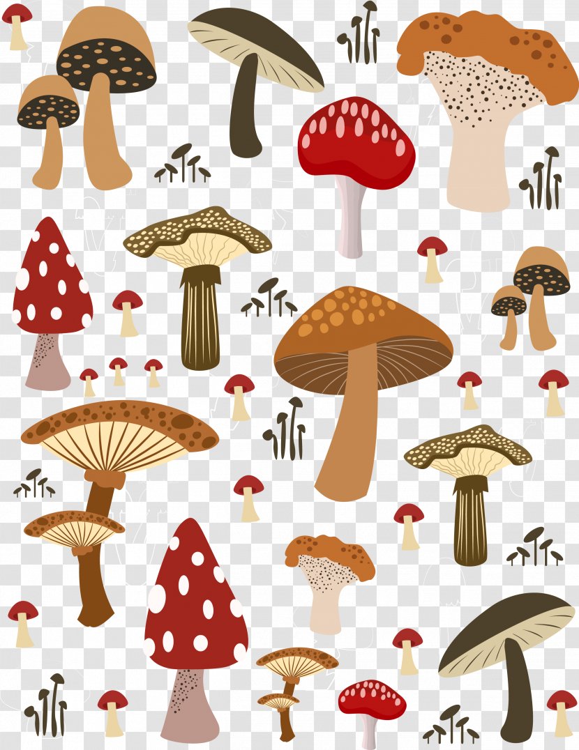 Mushroom Illustration - Organism - Featured Cartoon Mushrooms Transparent PNG