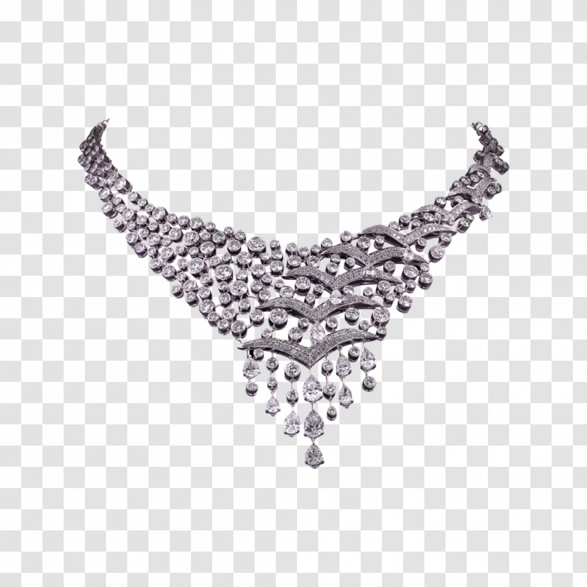Jewellery Necklace Silver Clothing Accessories Chain - Fashion Accessory - Gull Transparent PNG