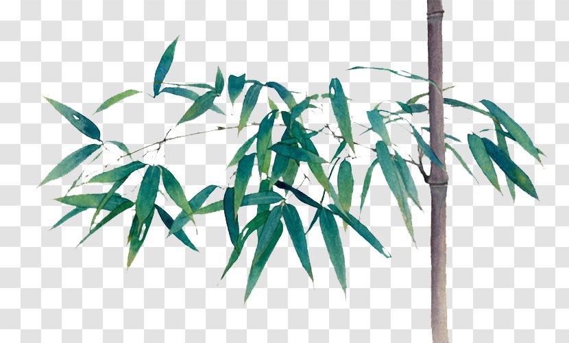 Bamboo Green Bamboe Computer File - Plant Stem Transparent PNG