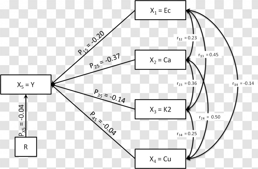 Diagram Path Analysis Plot Variable - Sankey - Edge Transparent PNG