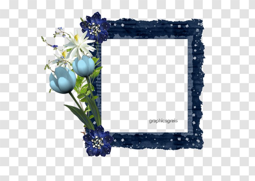 Picture Frames Rectangle Flower Brown Eye - Cornice Blu Transparent PNG