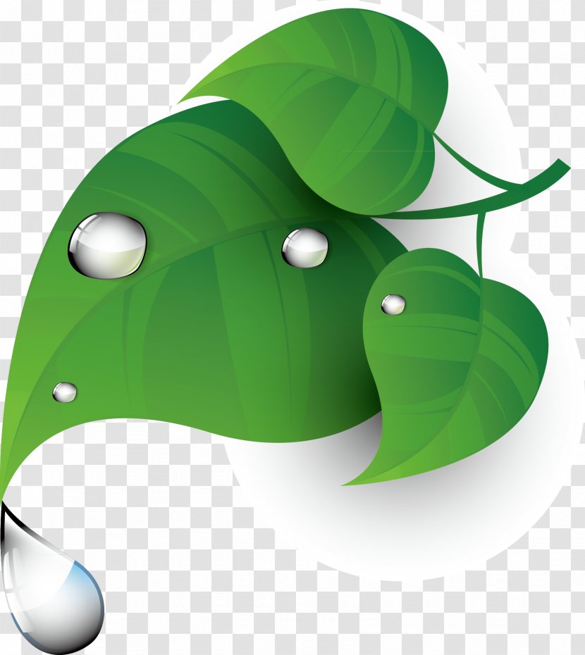 Green Clip Art - Morning - Clover Dew Elements Transparent PNG