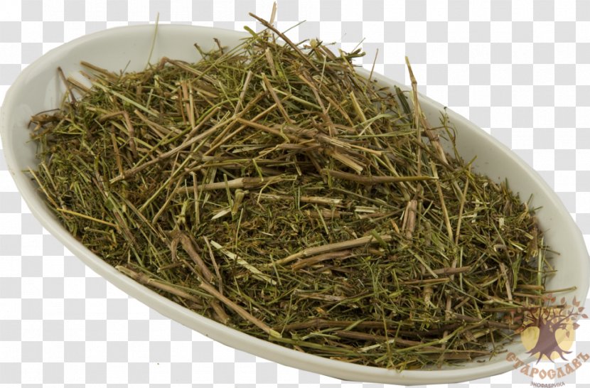 Cleavers Lady's Bedstraw Tea Romeritos Omsk - Hojicha Transparent PNG