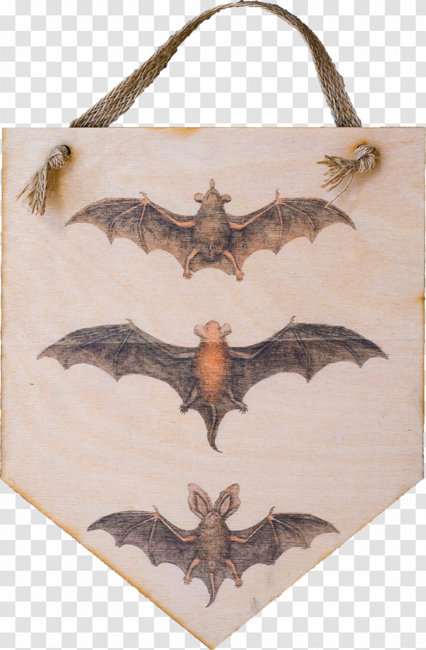Bat Illustration Clip Art Drawing Vector Graphics - Bird Transparent PNG