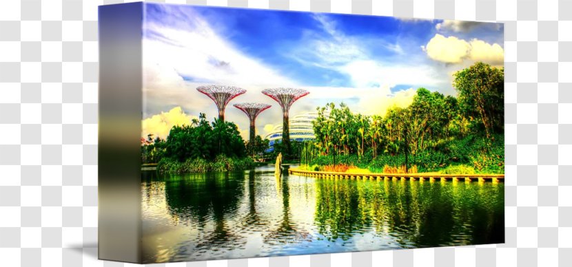 Water Resources Wetland Ecosystem Pond Energy - Nature - GARDEN BY THE BAY Transparent PNG