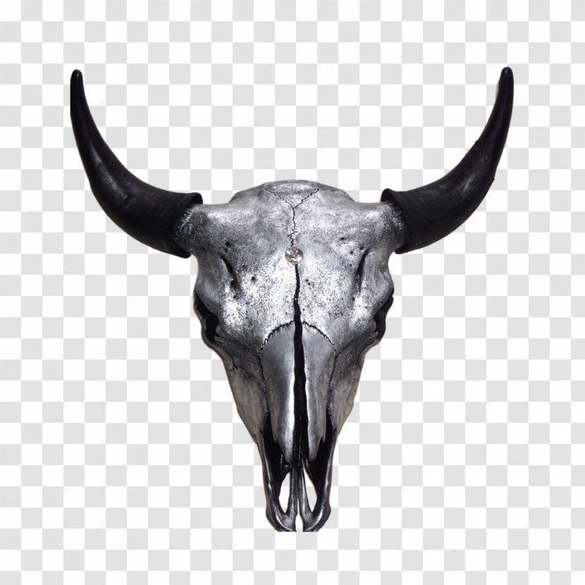 Bison Antiquus Skull Cattle Horn American Transparent PNG