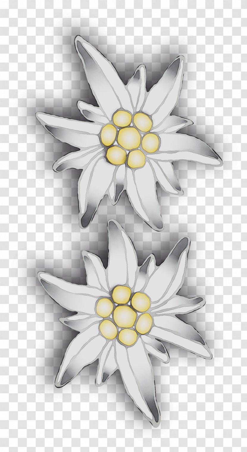 Yellow - Edelweiss - Blackandwhite Transparent PNG