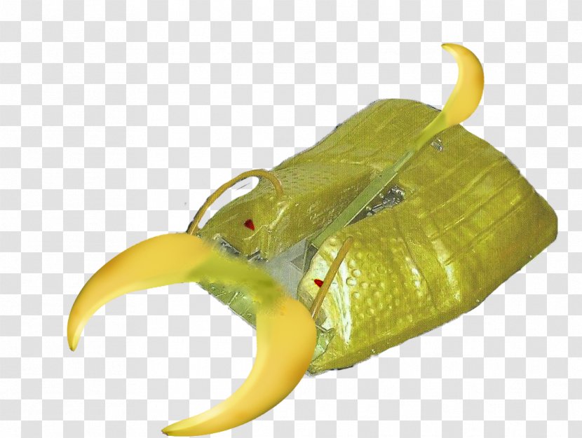 Banana - Food - Fruit Transparent PNG
