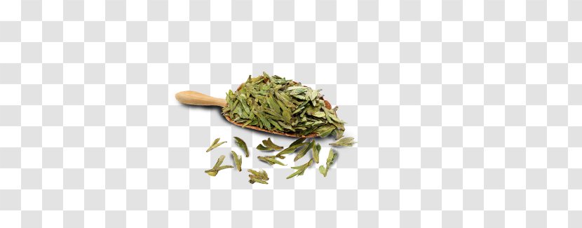 Organism Jewellery - Longjing Tea Leaves Transparent PNG