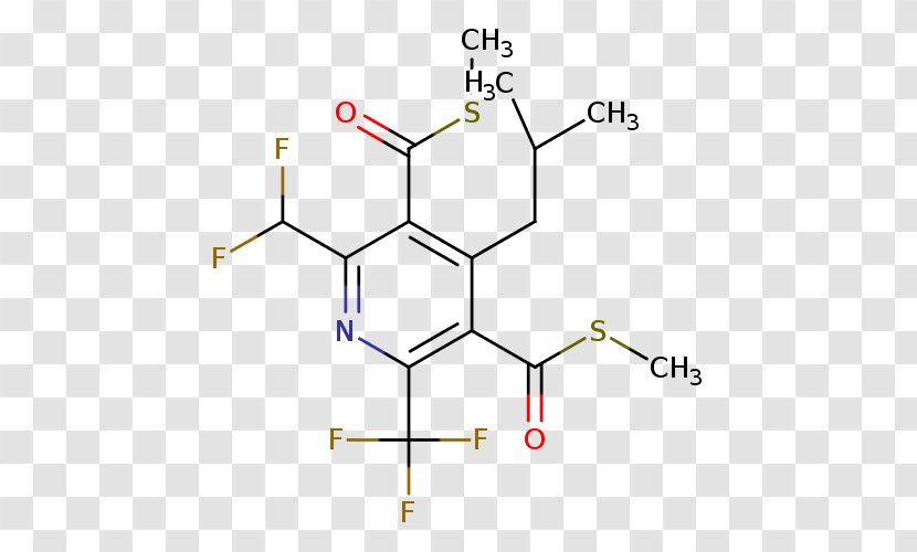 Carboxylic Acid Amino Ester Boronic - Tree - Frame Transparent PNG