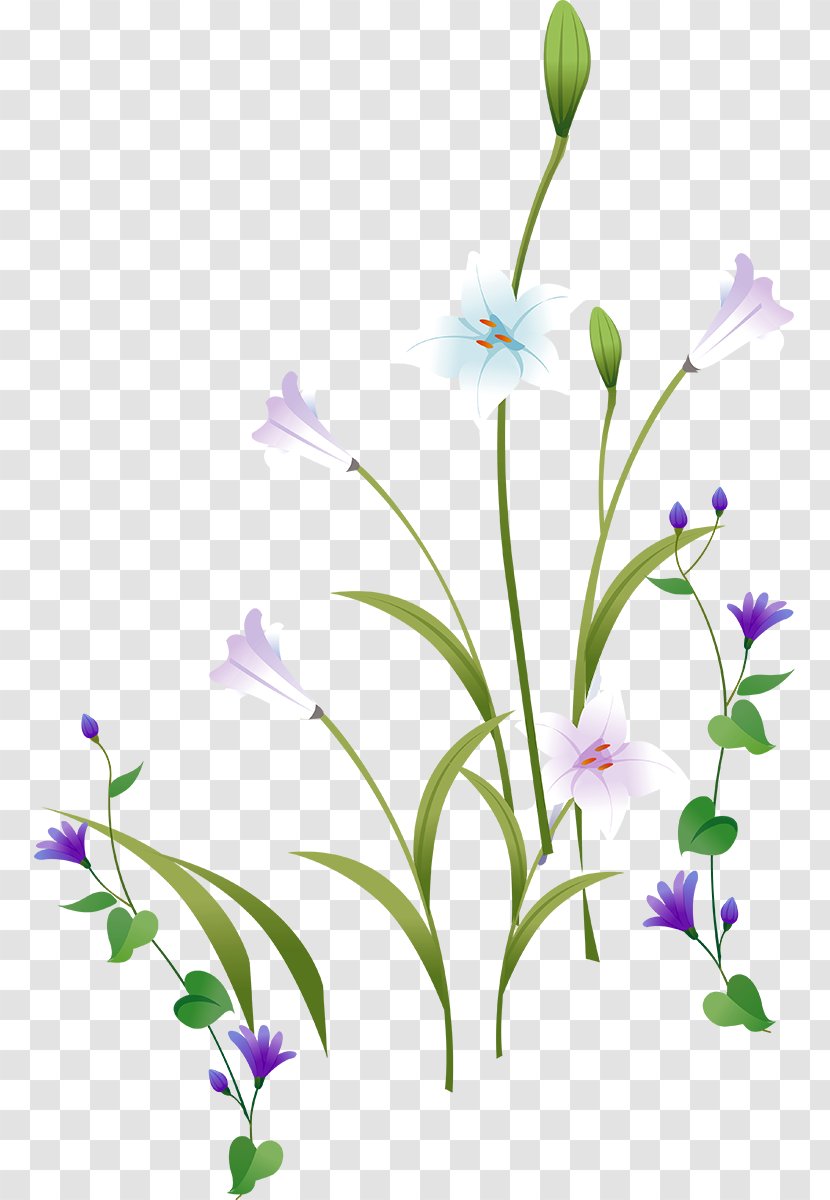 Petal Bellflower Meadow Floral Design Leaf Transparent PNG