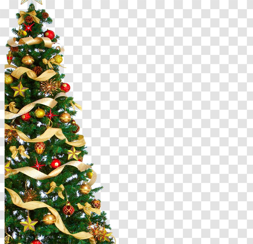 Christmas - Ornament - Pine Family Transparent PNG