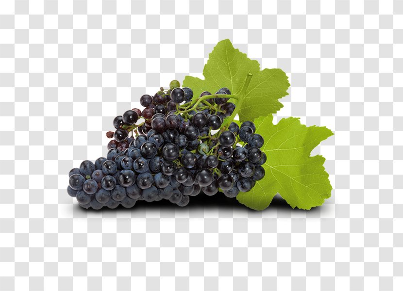Common Grape Vine Zante Currant Wine Seedless Fruit - Vitis Transparent PNG