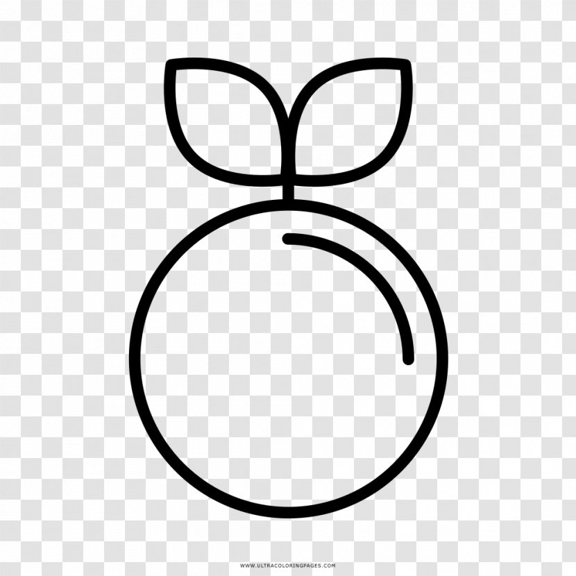 White Circle Eye Clip Art - Oval - Design Transparent PNG