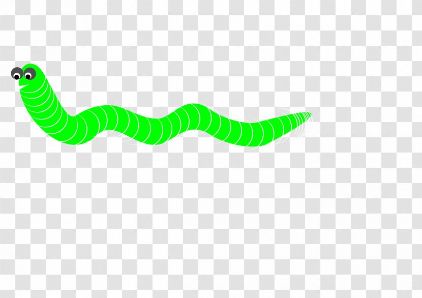 Computer Worm Clip Art - Green Transparent PNG