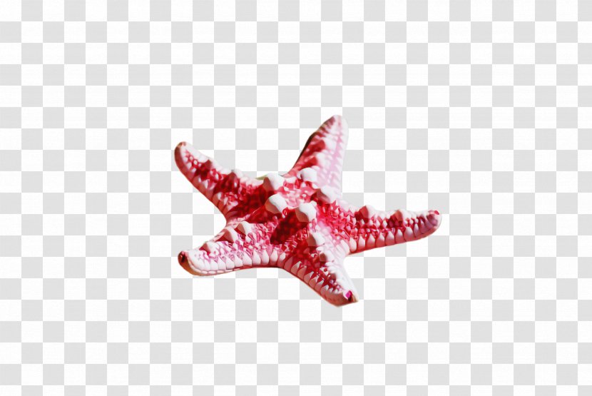Pink Red Starfish Jewellery Transparent PNG