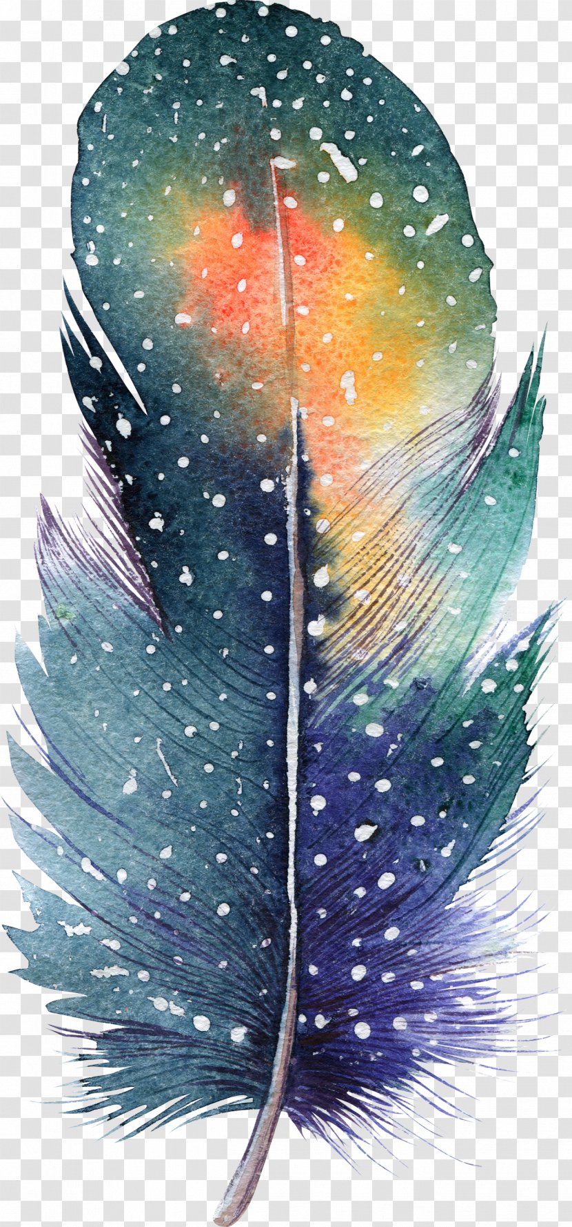 Feather Watercolor Painting Drawing Illustration Transparent PNG