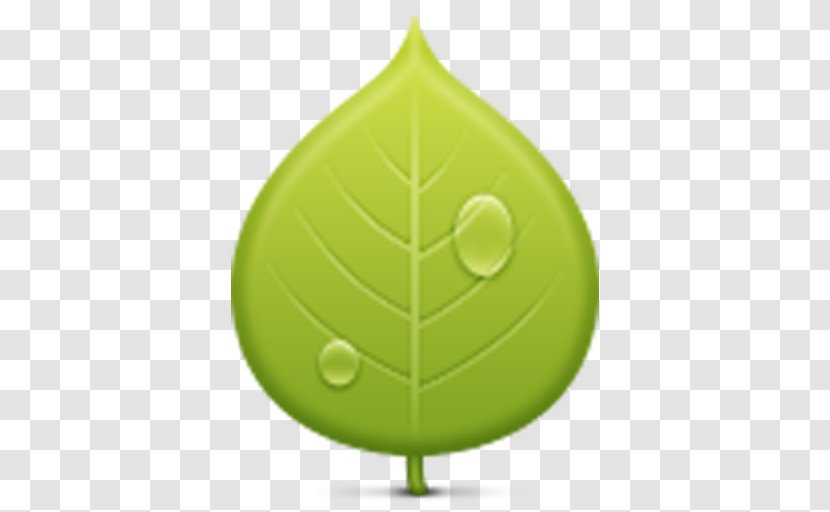 Internet - Project - Leaf Transparent PNG