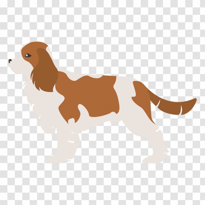 Affenpinscher Pug Poodle Cavalier King Charles Spaniel Maltese Dog - Mammal Transparent PNG