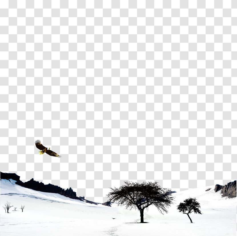 Bird Black And White Sky Winter Wallpaper - Vast Snowy Transparent PNG