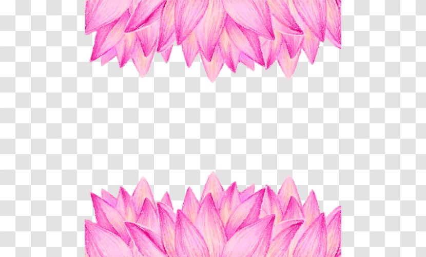 Nelumbo Nucifera Buddhism Flower Euclidean Vector - Mindfulness - Floral Background Transparent PNG