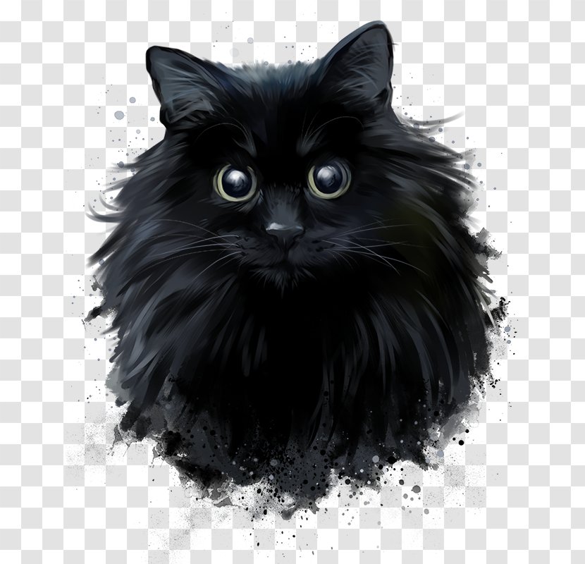 Persian Cat Black Norwegian Forest Drawing - Domestic Short Haired Transparent PNG