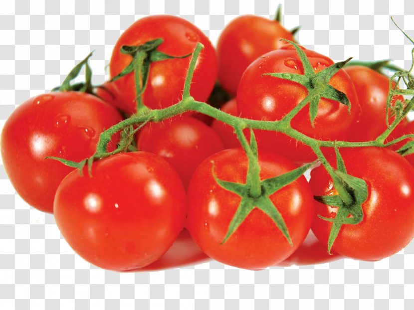 Tomato Vegetable Potato Food Fruit - Nightshade Family Transparent PNG