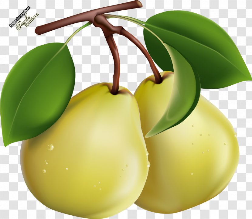 Clip Art Image Pear Openclipart - Diagram - Peppa Transparency And Translucency Transparent PNG