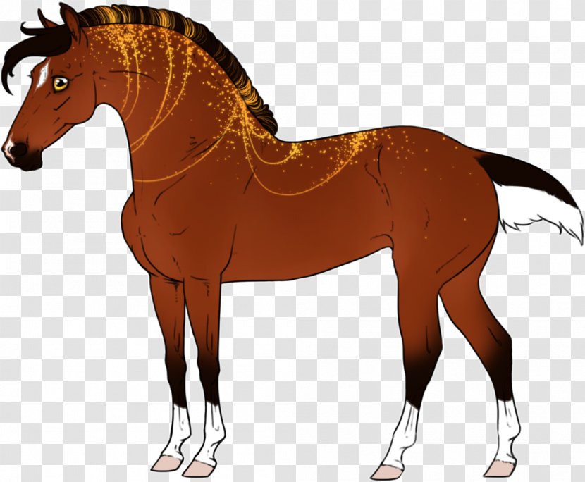 Mule Mustang Stallion Foal Mare - Mane Transparent PNG