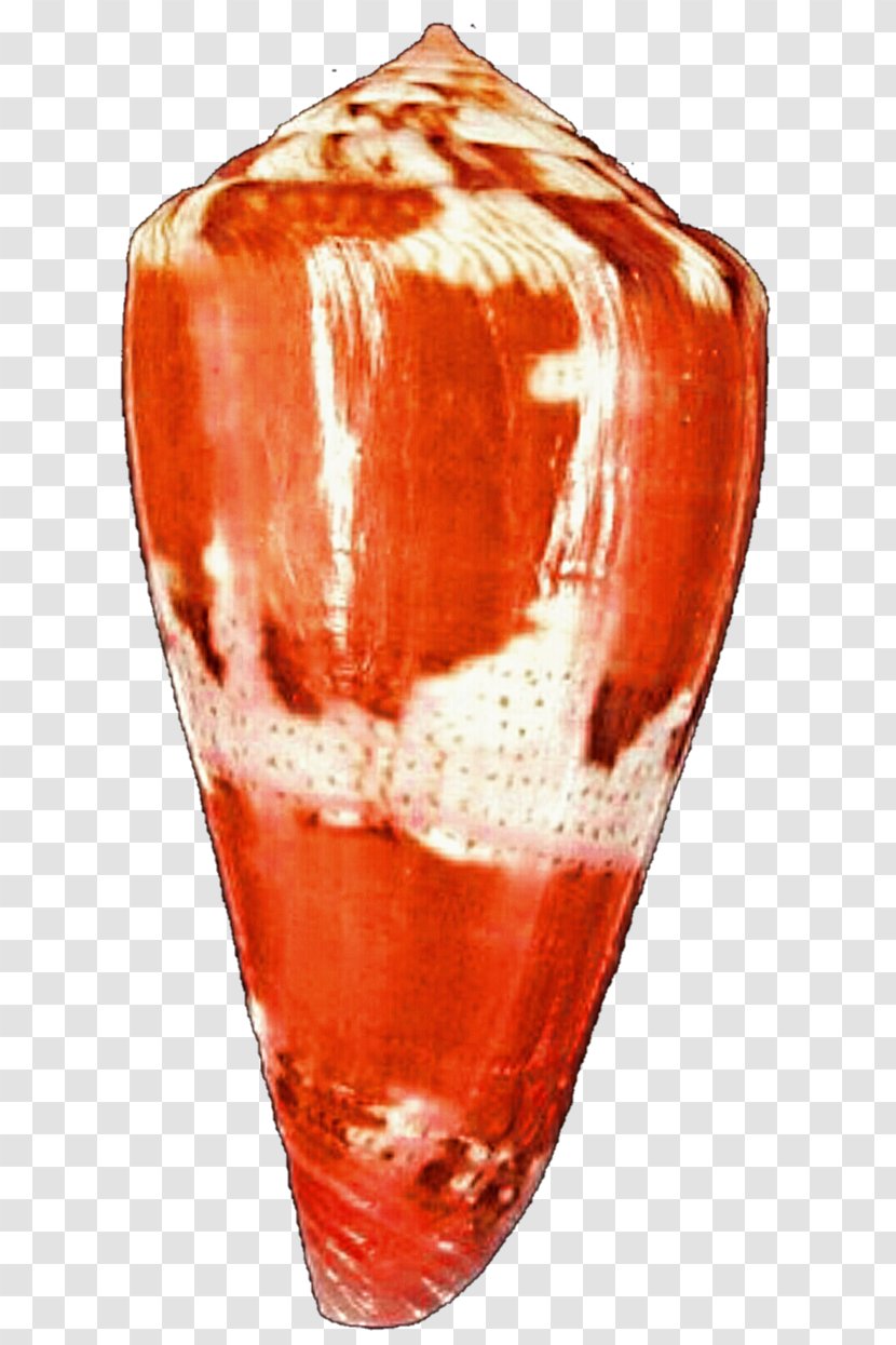 Vase - Orange And White Transparent PNG