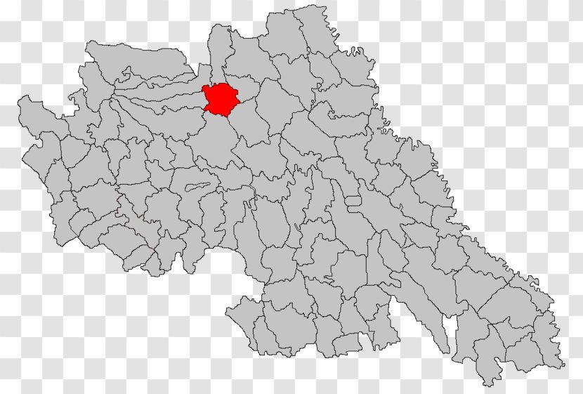 Cluj-Napoca Metropolitan Area Craiova Iași Satu Mare - Statistical - Judô Transparent PNG