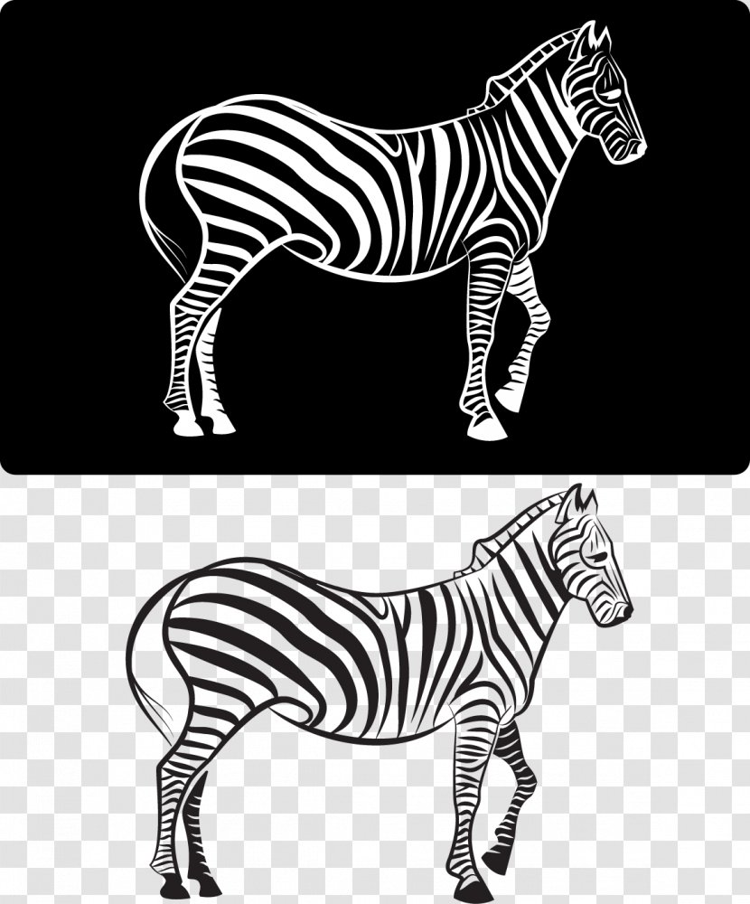 Zebra Download - Black - Vector Transparent PNG