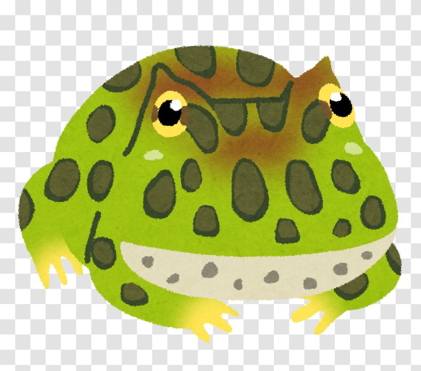 True Frog Argentine Horned いらすとや - Amphibian Transparent PNG
